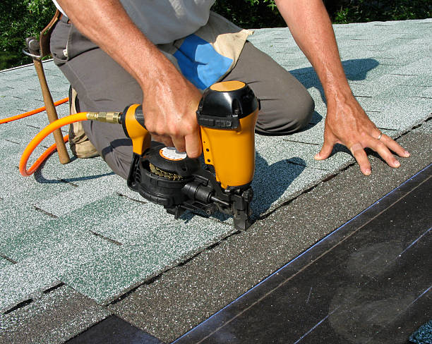 Best Roof Gutter Cleaning  in Mcclure, PA