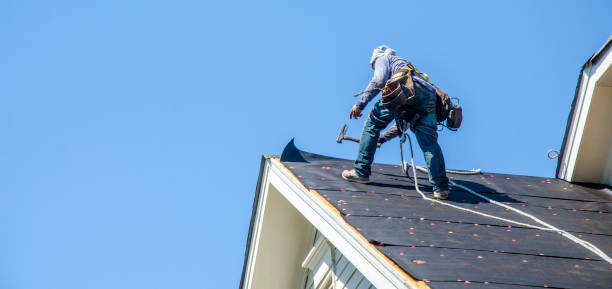 Best Roof Restoration Services  in Mcclure, PA